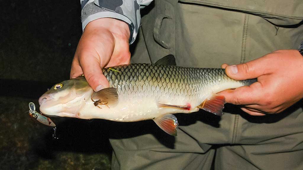 Naktinis spiningavimas vasarą ir kitais metų laikais