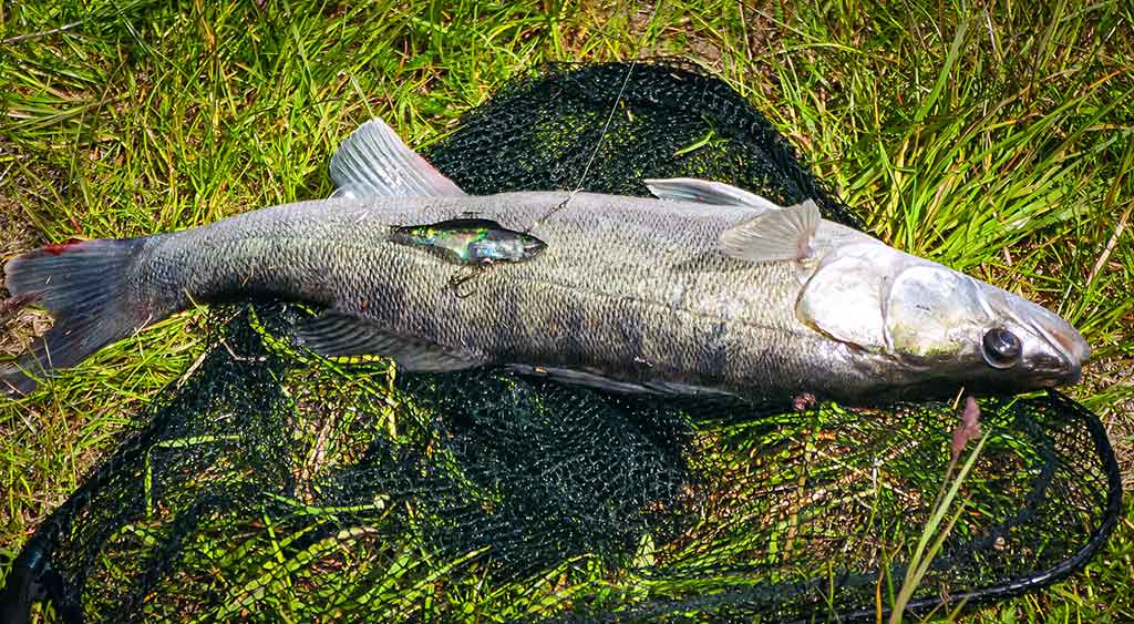 Gyvenimas po tiltu. Antra dalis Gyvenimas po tiltu. Antra dalis