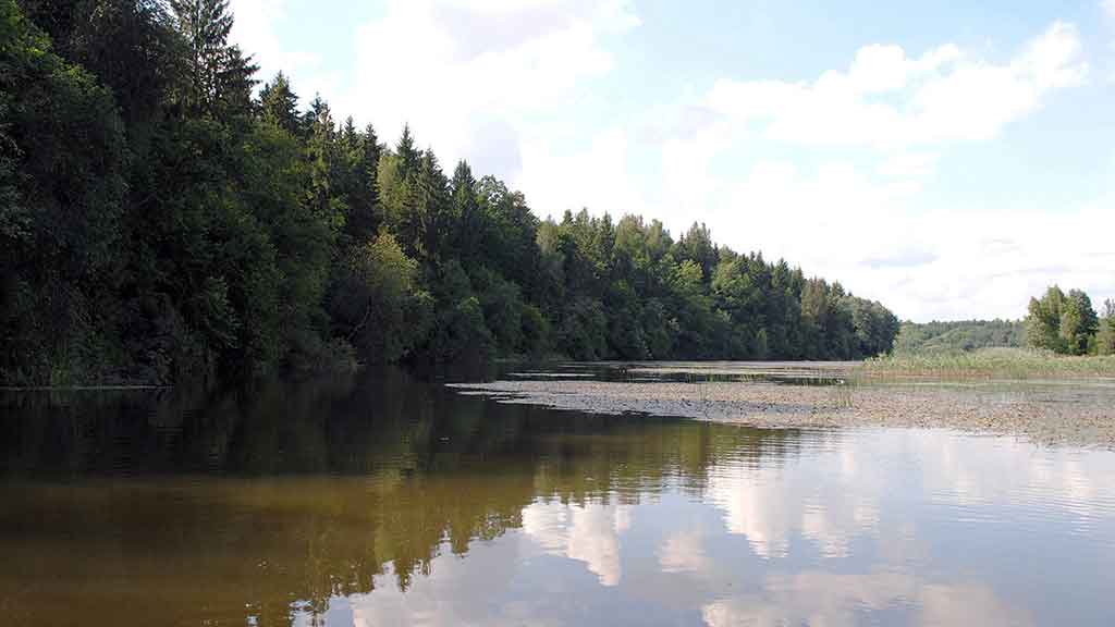 Spiningavimas topvoteriais. Trečia dalis Spiningavimas topvoteriais. Trečia dalis