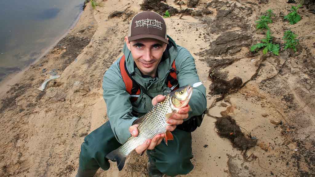 Paskutinės katino dienos Paskutinės katino dienos