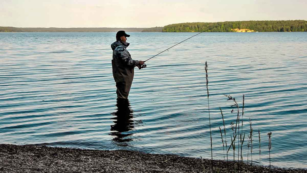 Sėkmingi žingsniai gaudant sterką