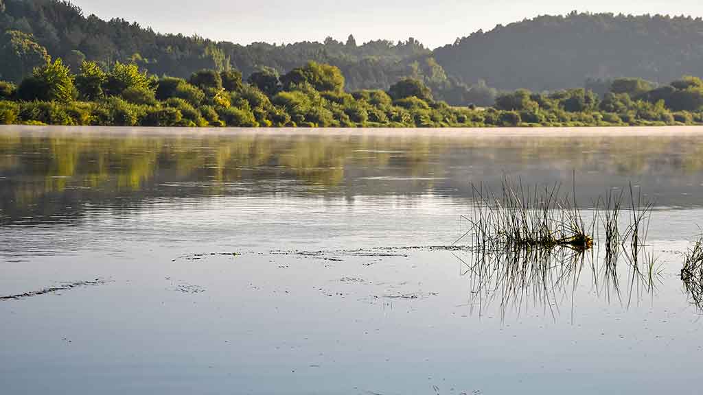 Šapalus – lyg karpius