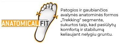 Anatomical Fit