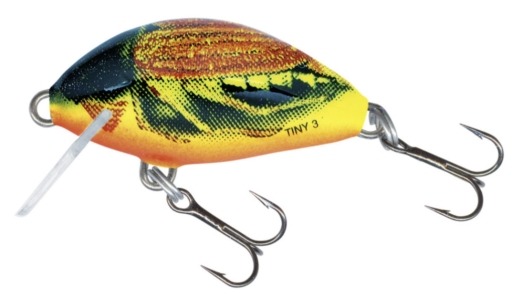 Tiny – kryptis į srovės širdį. Pirma dalis Tiny – kryptis į srovės širdį. Pirma dalis