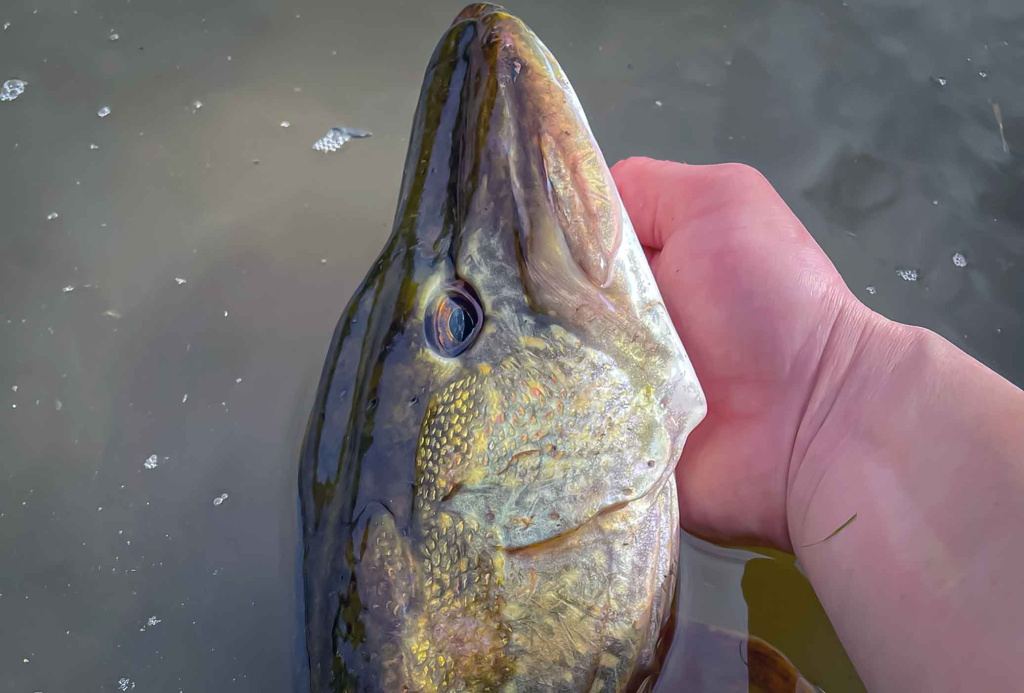 Šalto rudens malonumai