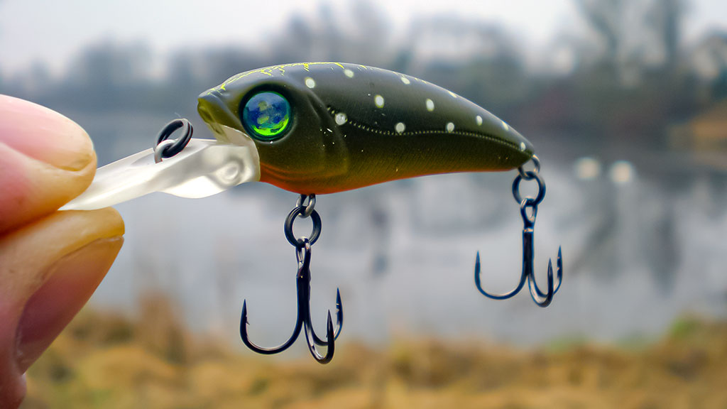 Vobleris po mikroskopu – liežuvis ir kilpa. Pirma dalis Vobleris po mikroskopu – liežuvis ir kilpa. Pirma dalis