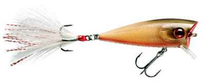 Poperiai – geri, bet mažai naudojami masalai