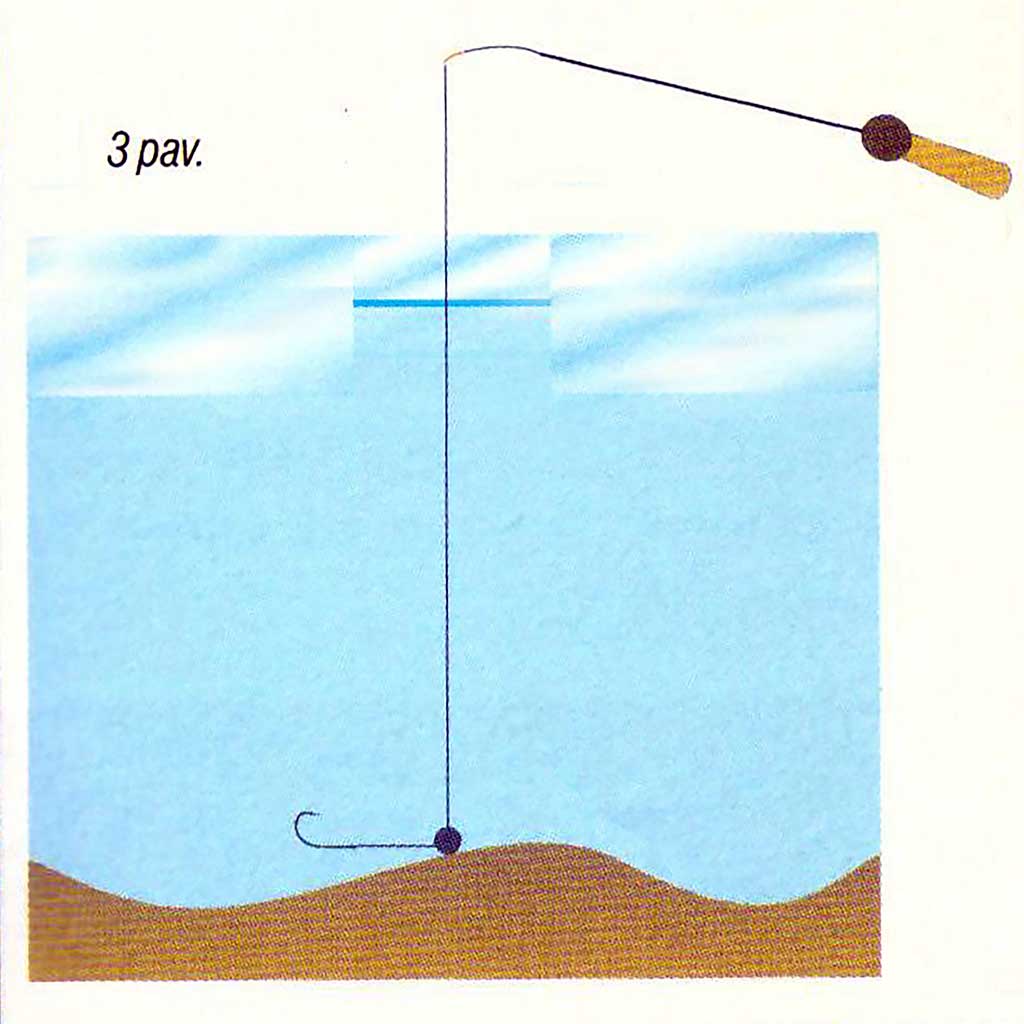 Kaip pagauti kuoją? Kaip pagauti kuoją?