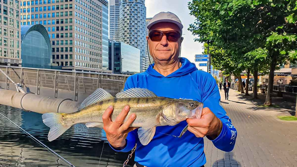Kaip pagauti lydeką? Kaip pagauti lydeką?