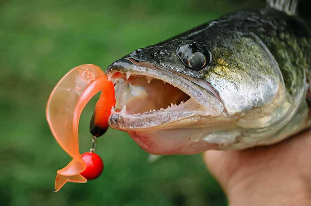 Tvisterių privalumai