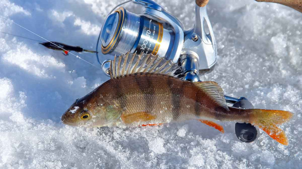 Kaip pagauti ešerį? Kaip pagauti ešerį?