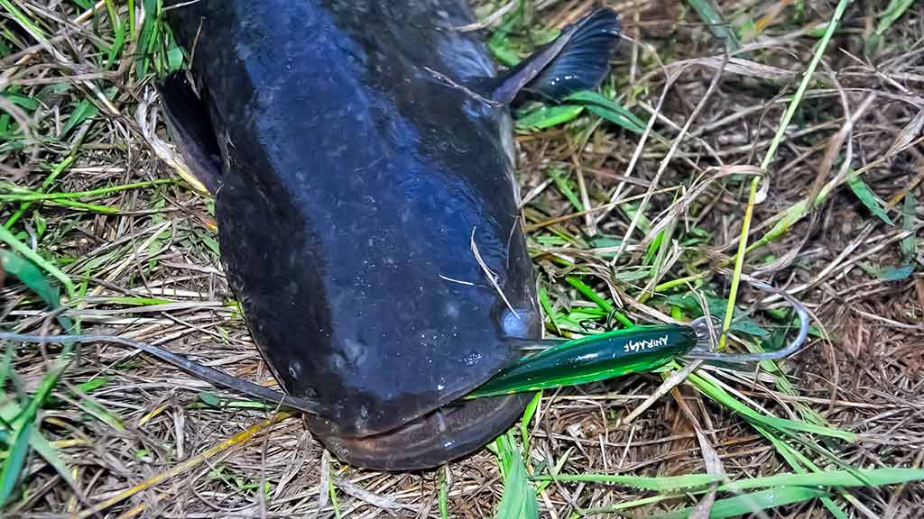 Vasariniai naktinėjimai su spiningu rankose