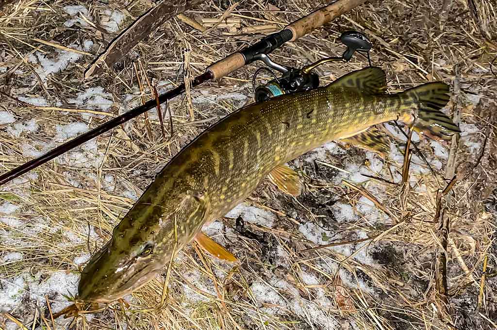 Jei žiemą nori sėkmingai pažvejoti, keliauk į miesto centrą. Antra dalis