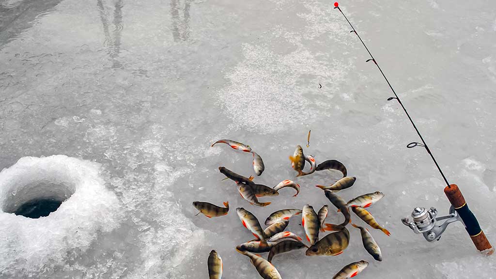 Kada ešerys nusuka nosį