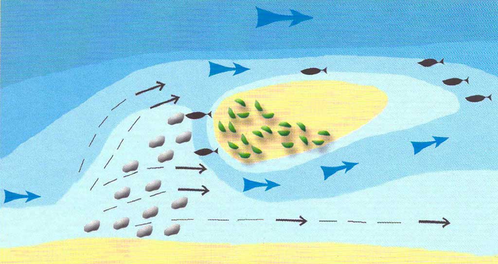 Šapalo šypsena. Trečia dalis Šapalo šypsena. Trečia dalis