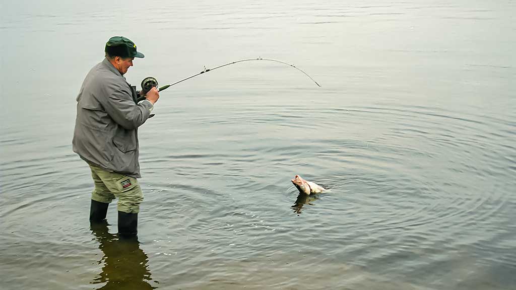 Ar sunku išmokti spiningauti? Pirma dalis Ar sunku išmokti spiningauti? Pirma dalis