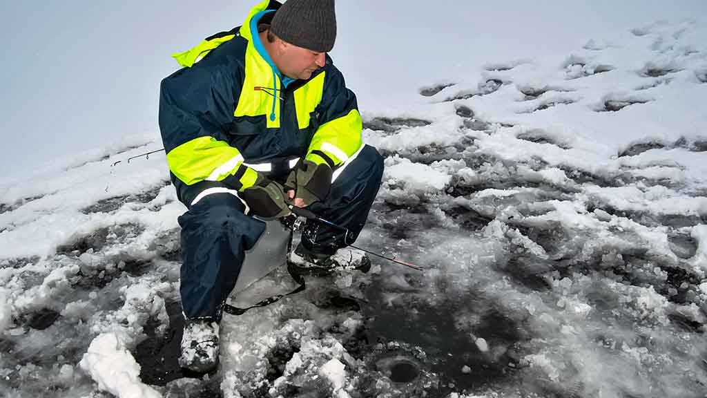 Kaip „pasikinkyti“ ožką Kaip „pasikinkyti“ ožką
