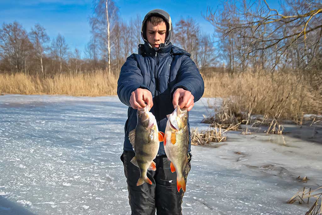 Ant pirmledžio su blizgu