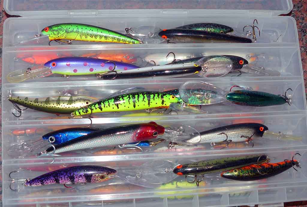 Kaip sugauti šamą? Kaip sugauti šamą?