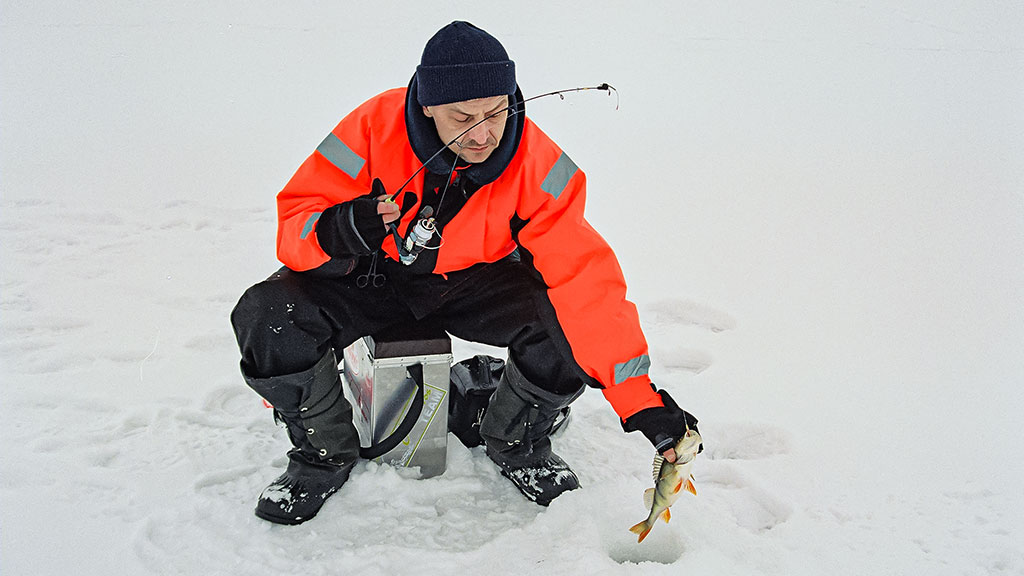 Kaip pagauti ešerį? Kaip pagauti ešerį?