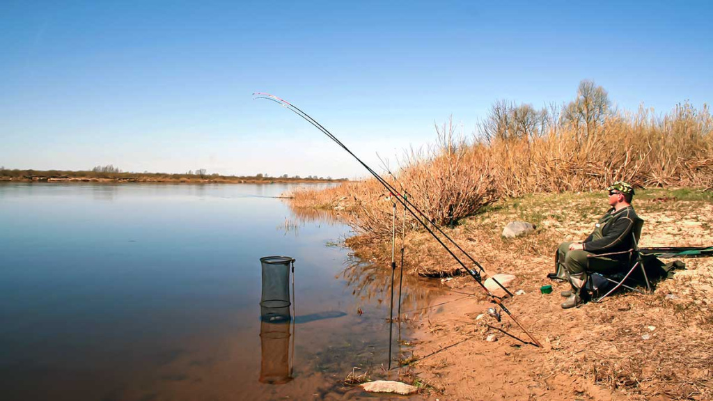 Dugninė. Karklo šaka ar specialus stovelis? Pirma dalis