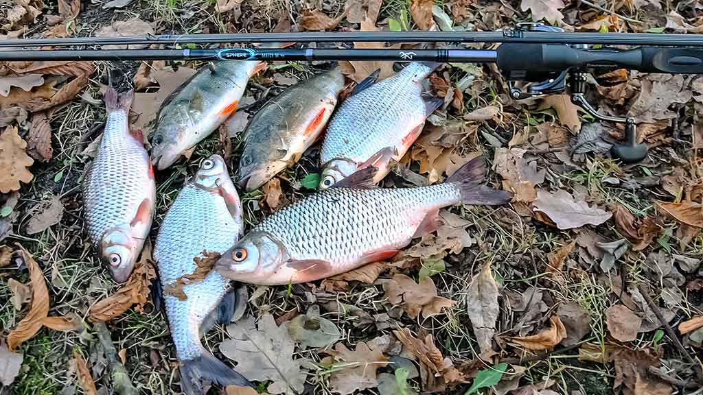 Ką reikia žinoti apie match meškerę Ką reikia žinoti apie match meškerę