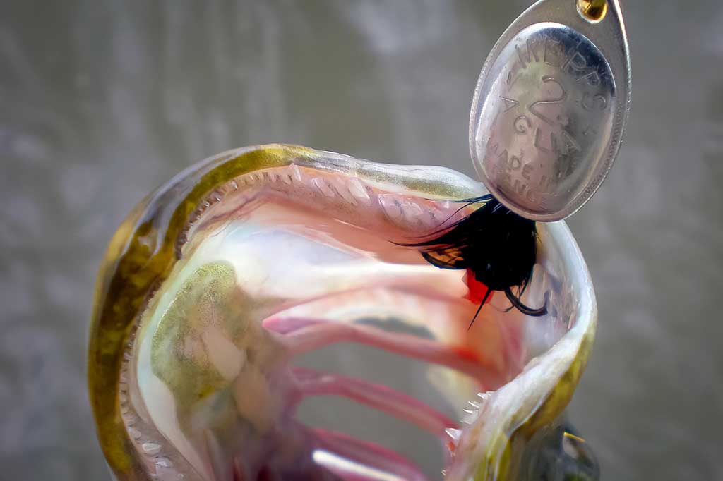 Pradžiamokslis norintiems žvejoti klasikinėmis sukriukėmis