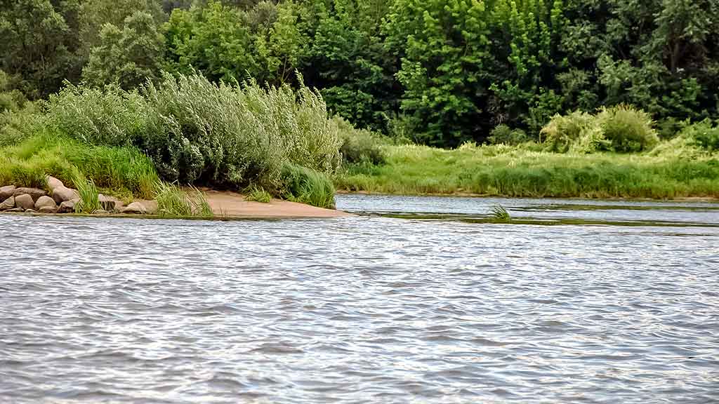 Žvejo aura. Antra dalis Žvejo aura. Antra dalis