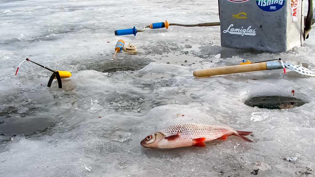 Užtemdyti eketę ar ne? Antra dalis