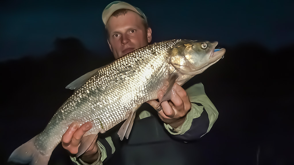 Tritaškis arba kaip nusiraminti Tritaškis arba kaip nusiraminti