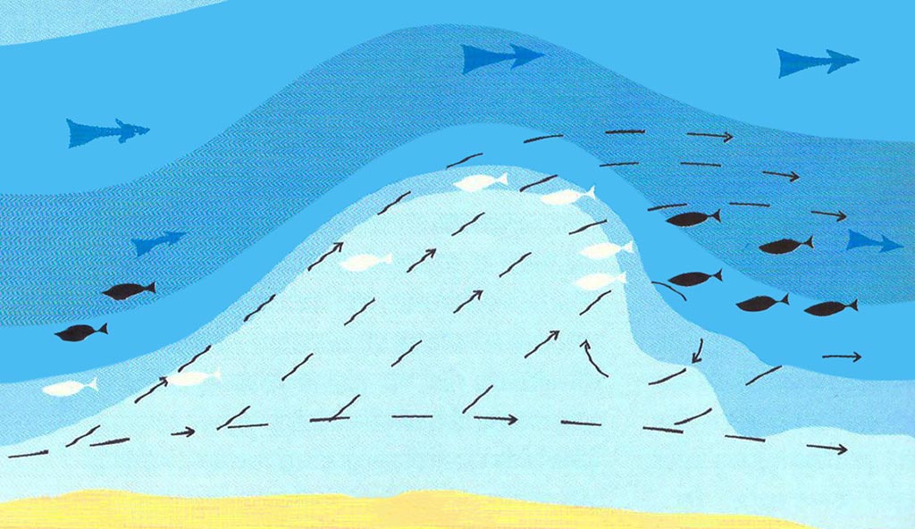 Šapalo šypsena. Pirma dalis Šapalo šypsena. Pirma dalis