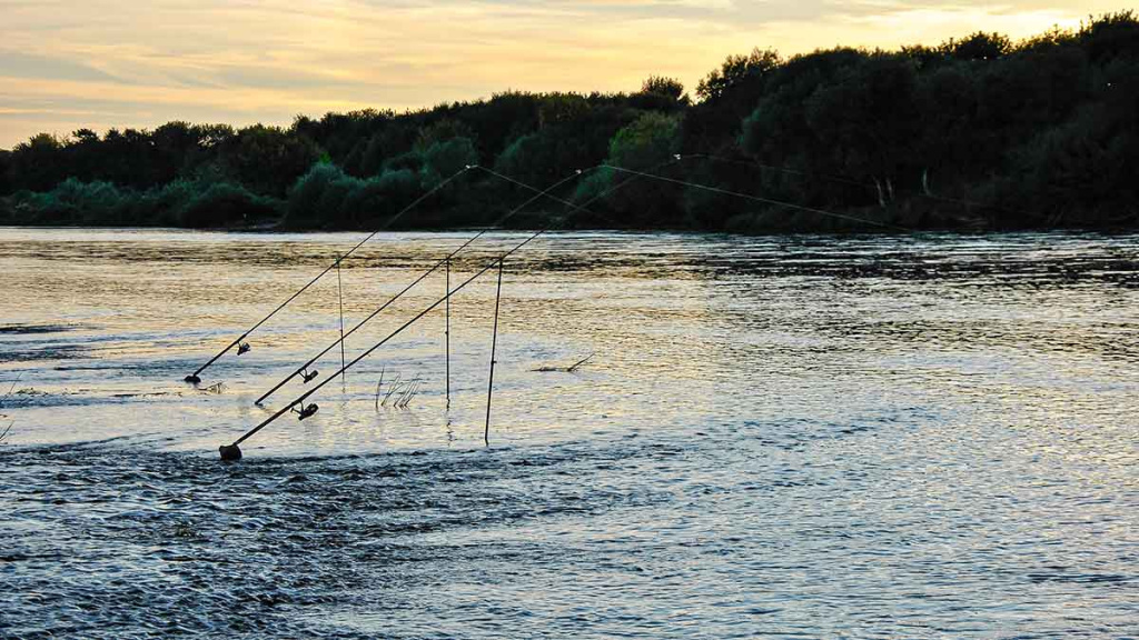„Balta“ žuvis juodą naktį. Antra dalis „Balta“ žuvis juodą naktį. Antra dalis