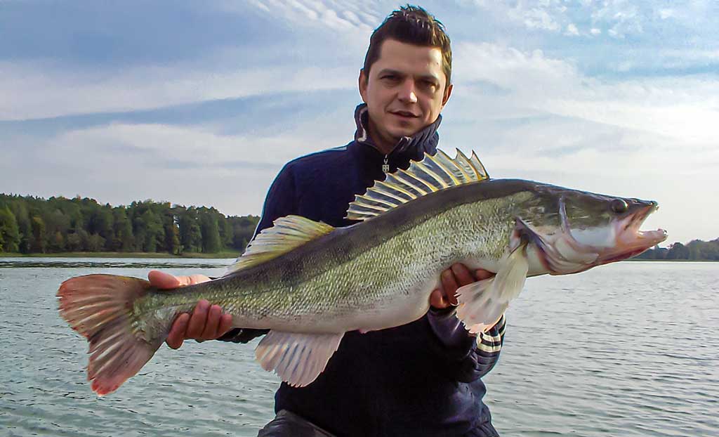 Ežerinio sterko paslaptis. Pirma dalis