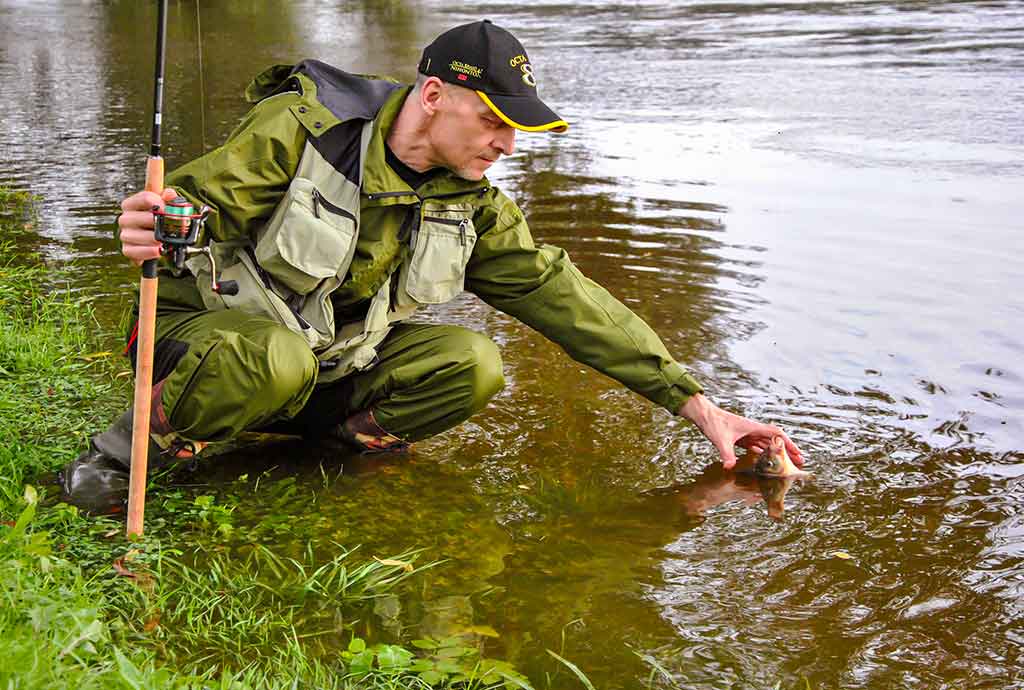 Iš žolių tankynės. Antra dalis Iš žolių tankynės. Antra dalis
