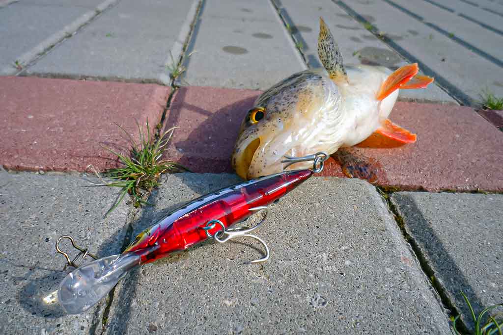 Vobleriniai niuansai