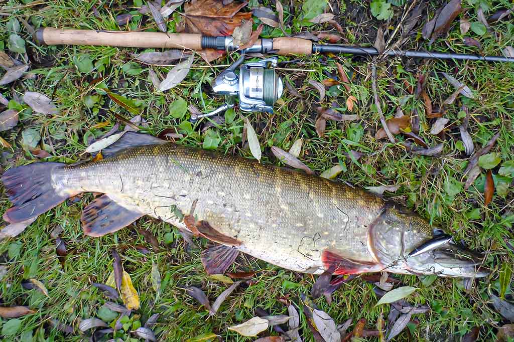 Vobleriniai niuansai