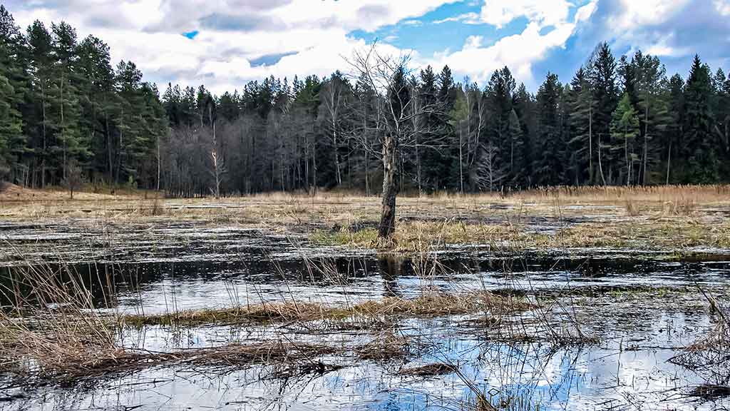 Balta dėmė upėtakininko žemėlapyje? Grūdos intake ir Grūdoje