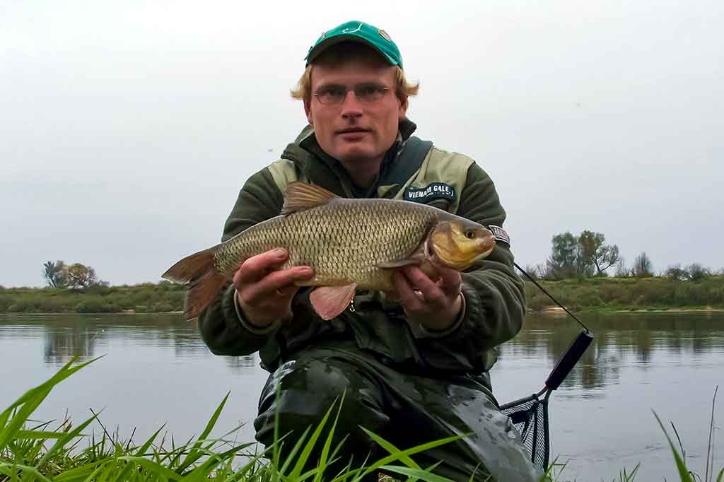 Apie šapalo pusseserę Apie šapalo pusseserę