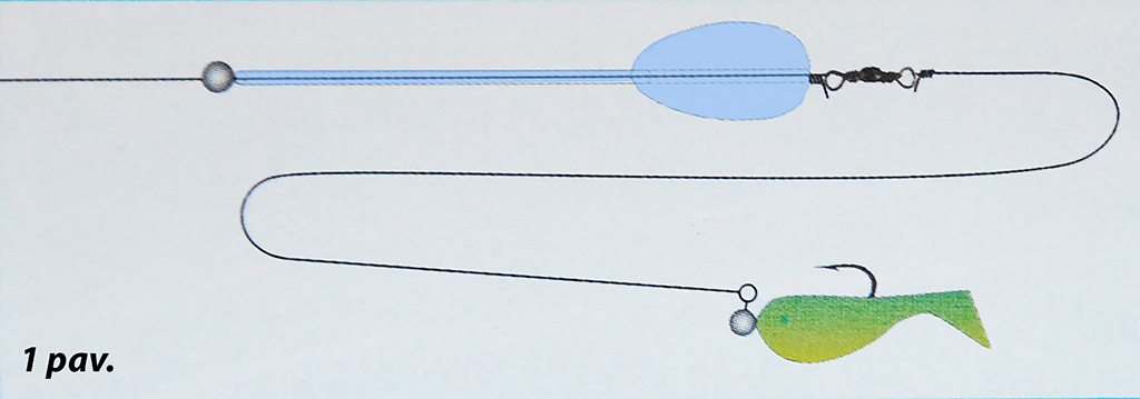 Kaip pagauti šapalą?