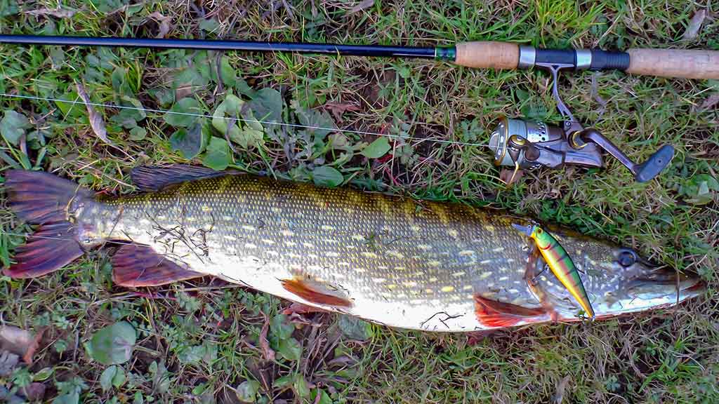 Pakibęs vandens storymėje. Antra dalis Pakibęs vandens storymėje. Antra dalis