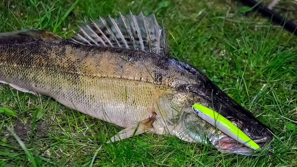 Tritaškis arba kaip nusiraminti Tritaškis arba kaip nusiraminti