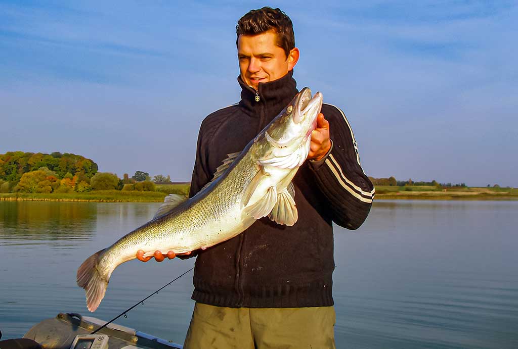 Ežerinio sterko paslaptis. Pirma dalis