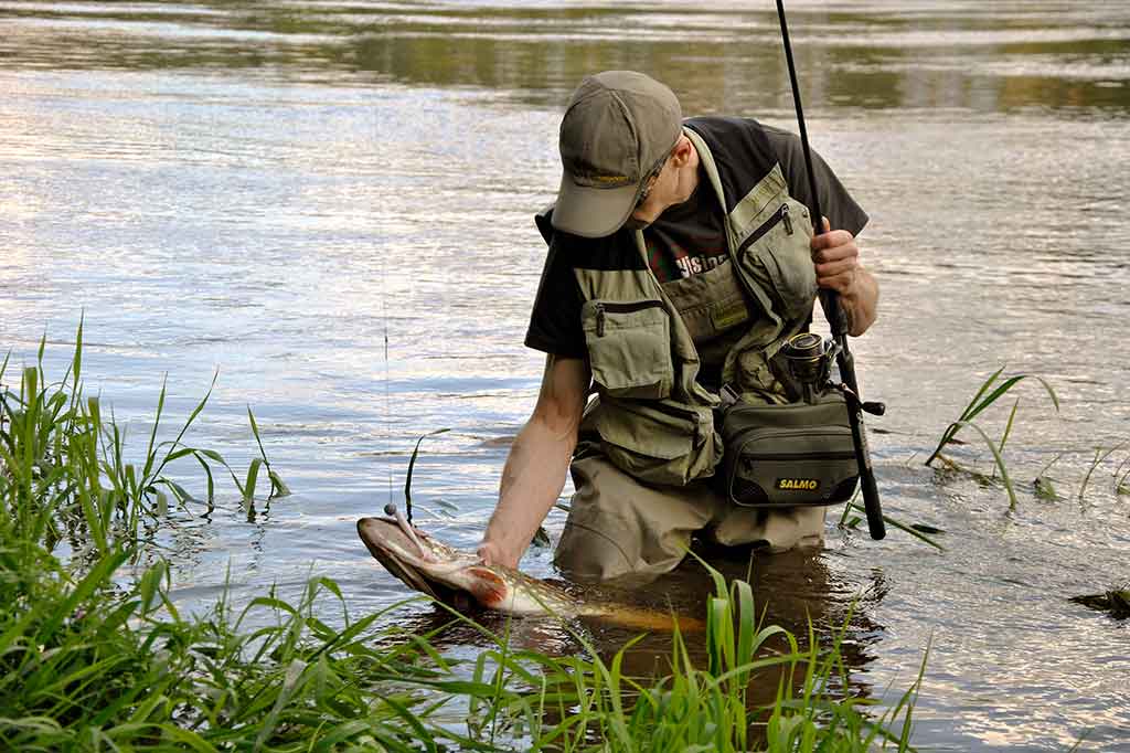 Tie tingūs dideli „krokodilai“ Tie tingūs dideli „krokodilai“