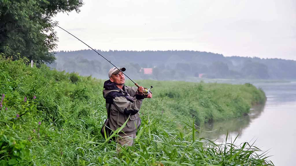 Ne tik salatiniai delikatesai. Pirma dalis Ne tik salatiniai delikatesai. Pirma dalis