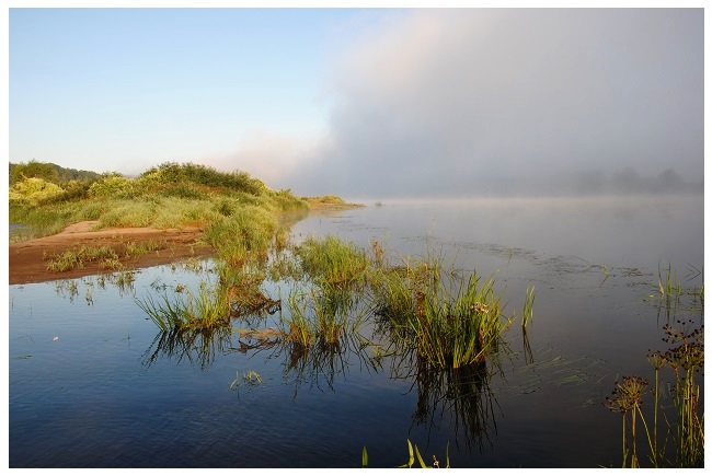 Gal pasirodys keista, tačiau pirmuosius savo lynus dar vaikystėje pagavau tekančiame vandenyje