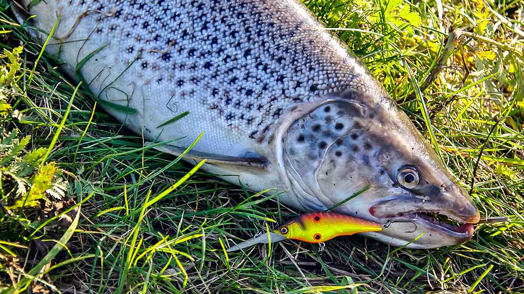 Kur, kaip ir kuo gaudome lašišas bei šlakius. I dalis