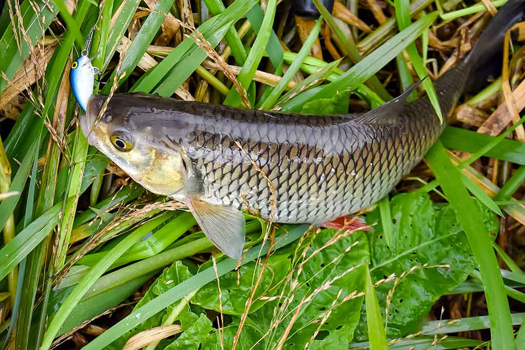 Neįprasta vasara. Antra dalis