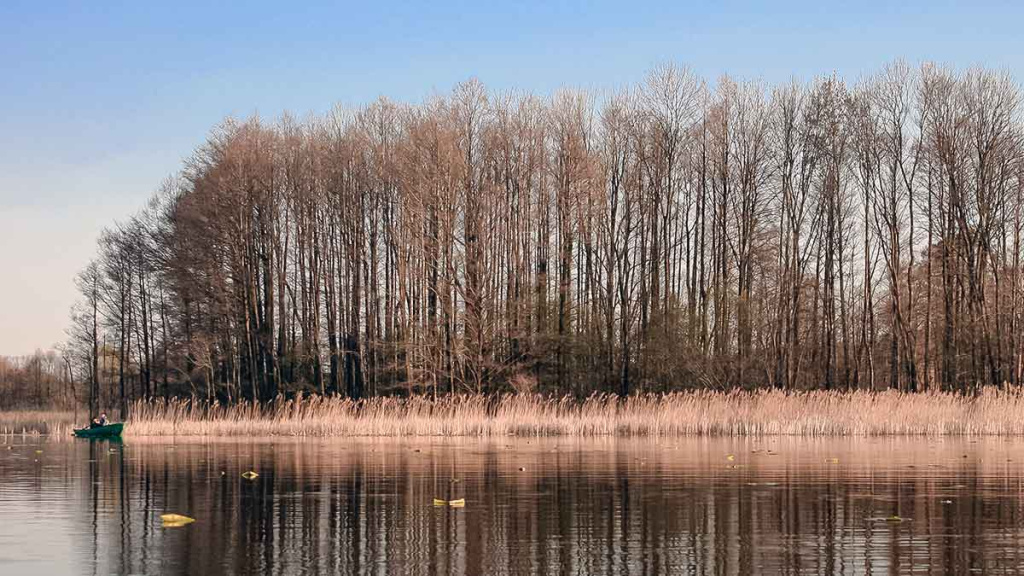 Tarp spiningo ir muselinės. Antra dalis Tarp spiningo ir muselinės. Antra dalis