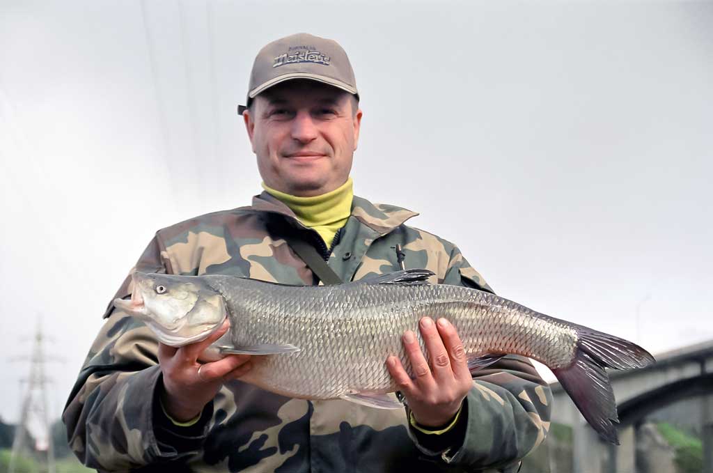 Ar patinka silikonas salačiams? Antra dalis