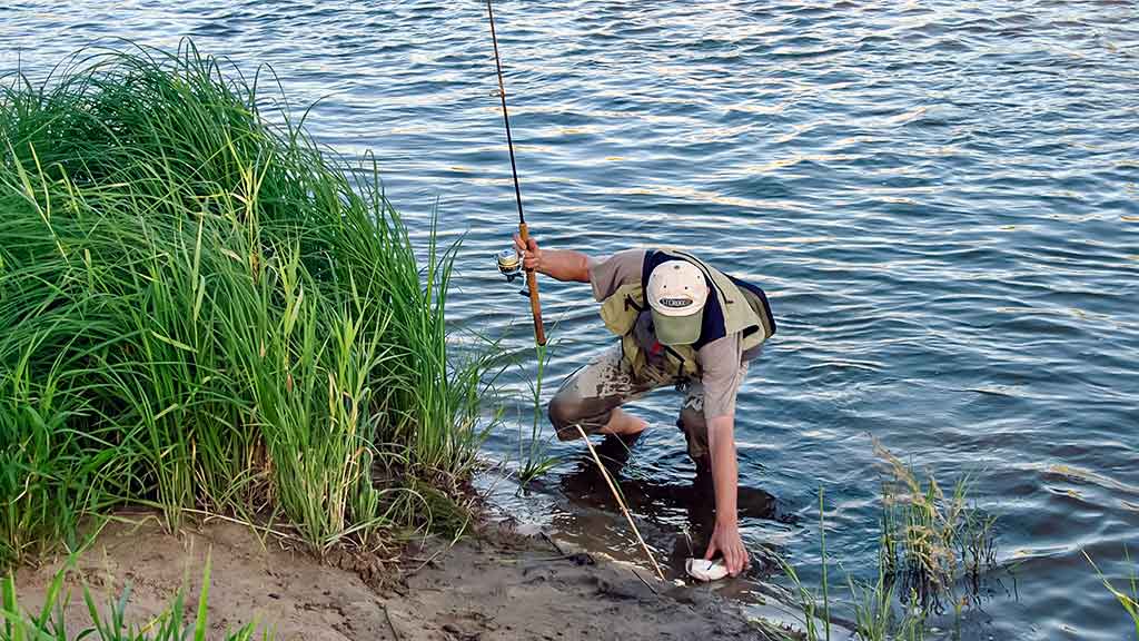 Geriau trumpas ar ilgas kotas? Antra dalis Geriau trumpas ar ilgas kotas? Antra dalis
